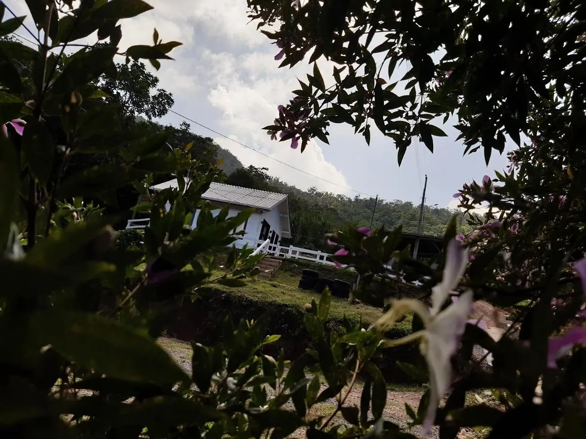 Tiny House Canjerana - Cabana Com Vista Dos Canyons Guest house Praia Grande (Santa Catarina)